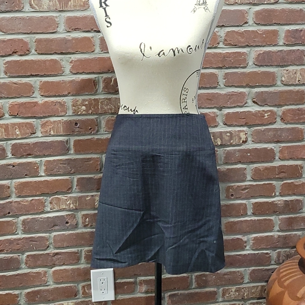 Banana Republic Pin Striped Skirt Sz 8